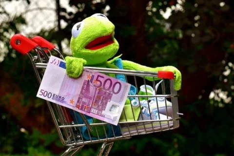 Kermit de kikker in winkelwagentje met een nep 500 euro biljet